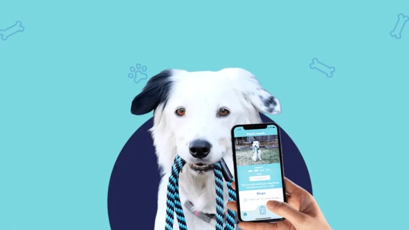 7 TOP Puppy Training Apps For iOS and Android