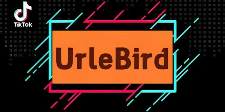 Urlebird The Best TikTok Online Viewer App for Android