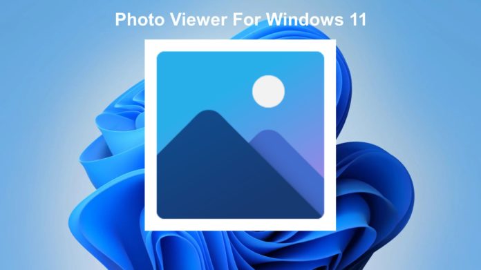 Top 10 Photo Viewer For Windows 11 In 2024