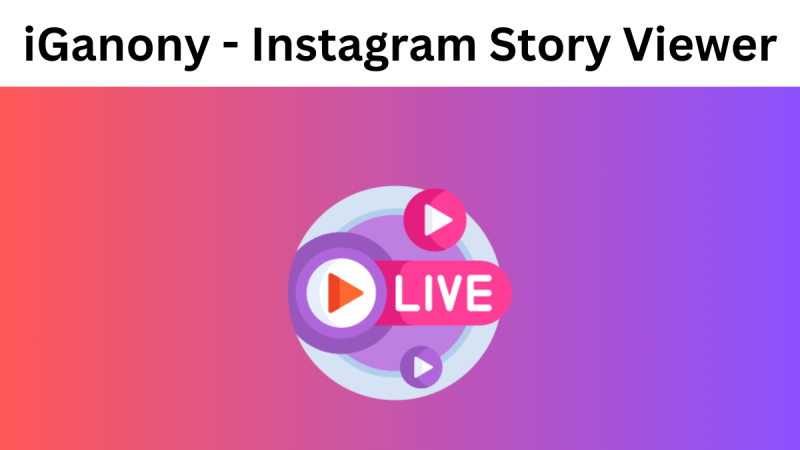 Unveiling iGanony: The Ultimate Instagram Story Viewer