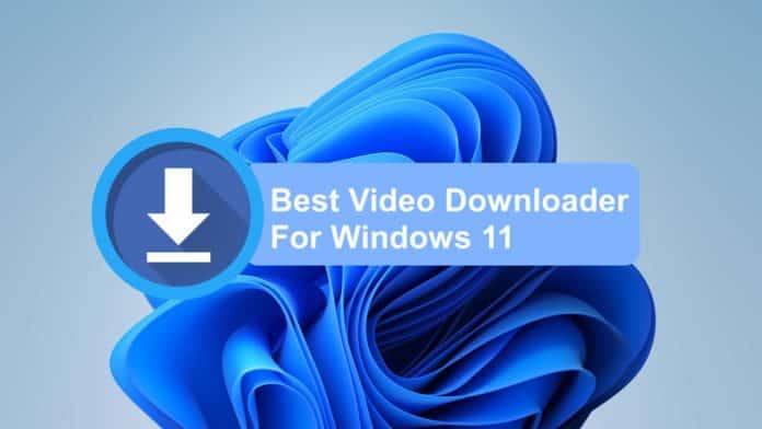 Top 15 Video Downloader for Windows 11 in 2024